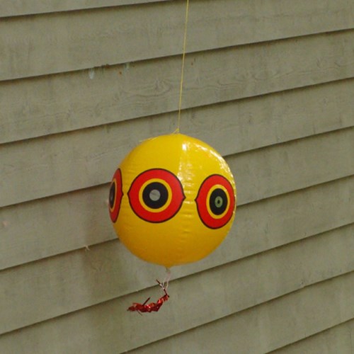 View Bird Barrier: Scare Eye Balloons