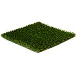View SportsGrass® Arena