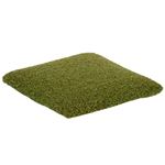View ForeverLawn GolfGreens® Pro Drive with Pad