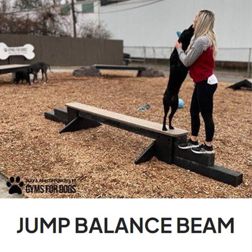 CAD Drawings BIM Models Gyms For Dogs Jump Balance Beam