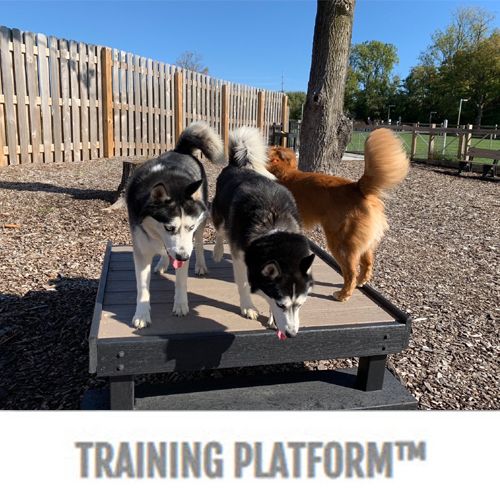 CAD Drawings BIM Models Gyms For Dogs Training Platform