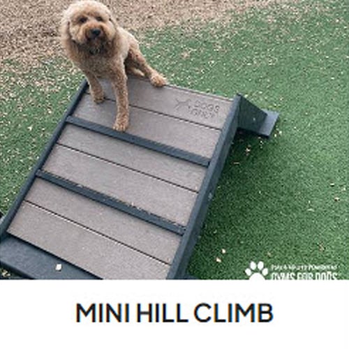 CAD Drawings BIM Models Gyms For Dogs Mini Hill Climb