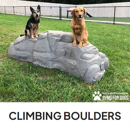 CAD Drawings BIM Models Gyms For Dogs Climbing Boulders - Luxury Heavy