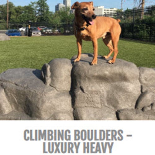 CAD Drawings BIM Models Gyms For Dogs Climbing Boulders - Luxury Heavy