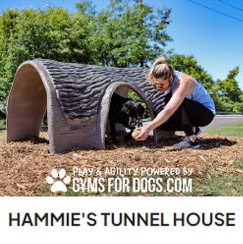 CAD Drawings BIM Models Gyms For Dogs Hammie's Tunnel House
