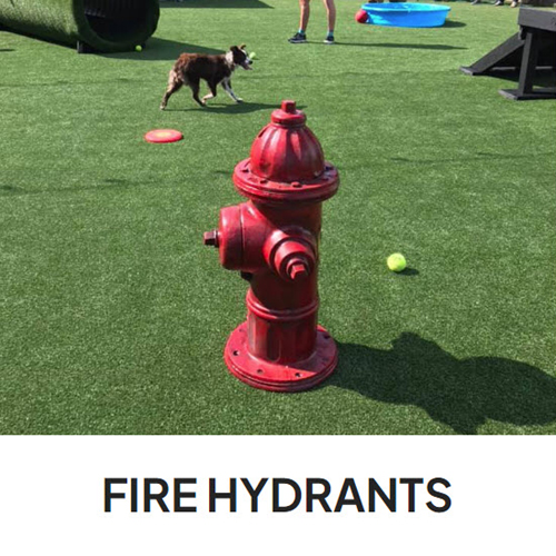 CAD Drawings BIM Models Gyms For Dogs Fire Hydrants