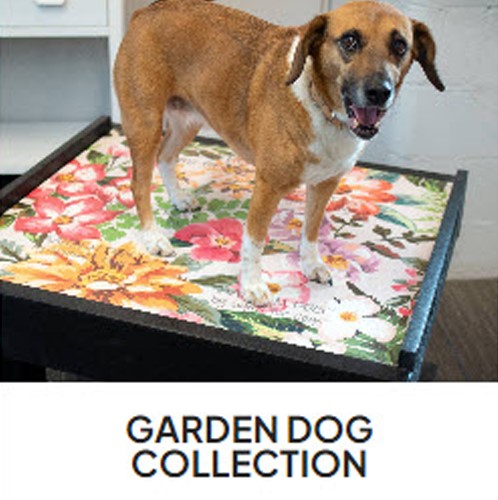 CAD Drawings Gyms For Dogs Garden Dog Collection