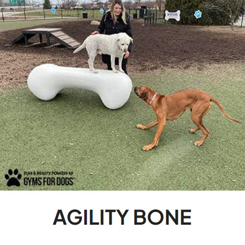 CAD Drawings BIM Models Gyms For Dogs Agility Bone