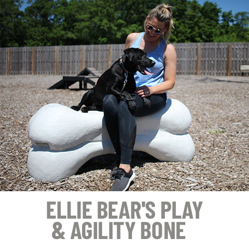 CAD Drawings BIM Models Gyms For Dogs Ellie Bear's Play & Agility Bone