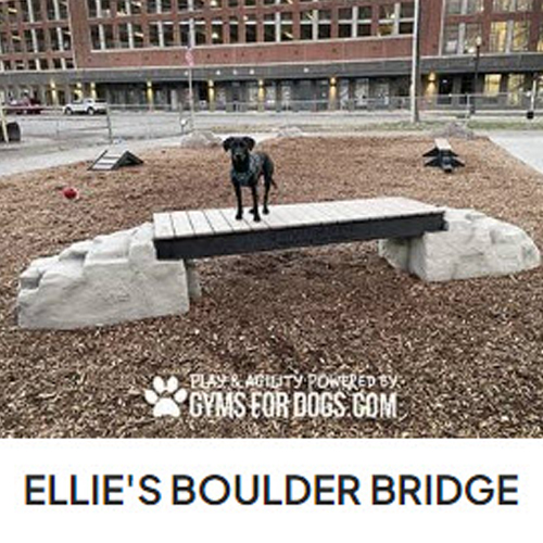 CAD Drawings Gyms For Dogs Ellie's Boulder Bridge