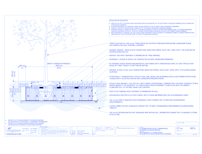 Stratavault™ Tree Planting w/ Standard 1200 mm Tree Grates - 600 mm Depth Soil Cells w/ Irrigation and Root Barrier  (Snorkil)