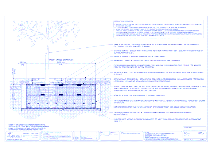 Stratavault™ Tree Planting w/ Standard 1200 mm Tree Grates - 1000 mm Depth Soil Cells w/ Irrigation and Root Barrier (Snorkil)