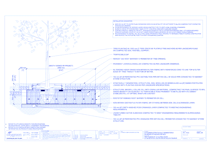 Stratavault™ Tree Planting w/ Standard 1200 mm Tree Grates - 600 mm Depth Soil Cells w/ Irrigation and Root Barrier (Distribution)