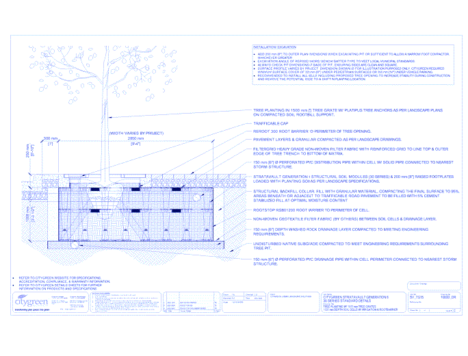 Stratavault™ Tree Planting w/ Standard 1500 mm Tree Grates - 1000 mm Depth Soil Cells w/ Irrigation and Root Barrier (Distribution)