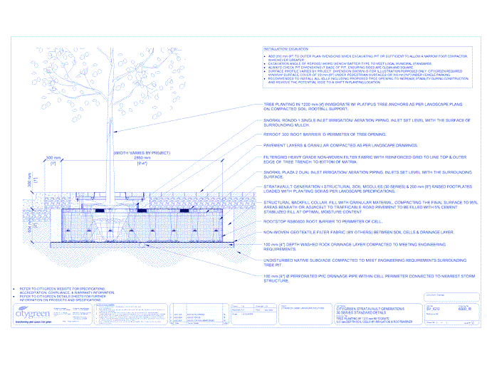 Stratavault™ Tree Planting w/ Invisigrate™ 1200 mm Tree Grates - 600 mm Depth Soil Cells w/ Irrigation and Root Barrier (Snorkil)