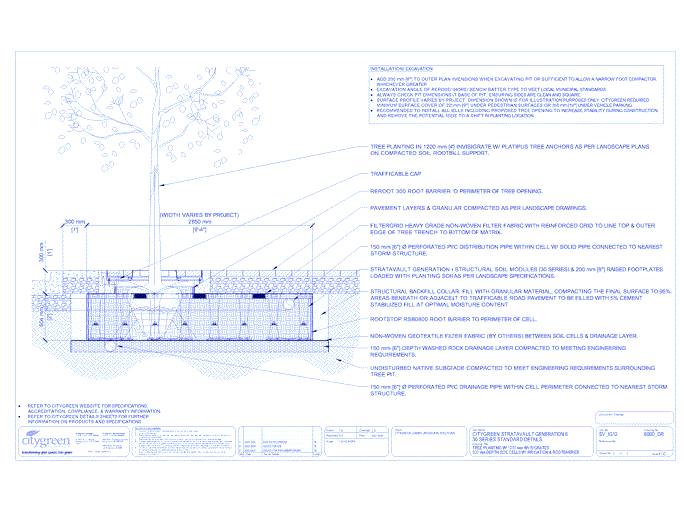 Stratavault™ Tree Planting w/ Invisigrate™ 1200 mm Tree Grates - 600 mm Depth Soil Cells w/ Irrigation and Root Barrier (Distribution)