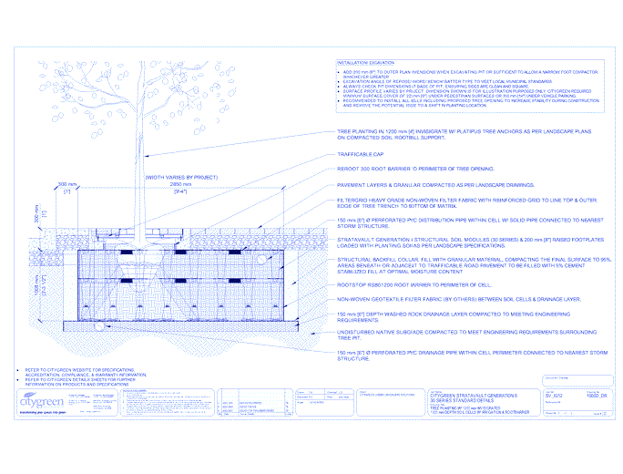 Stratavault™ Tree Planting w/ Invisigrate™ 1200 mm Tree Grates - 1000 mm Depth Soil Cells w/ Irrigation and Root Barrier (Distribution)