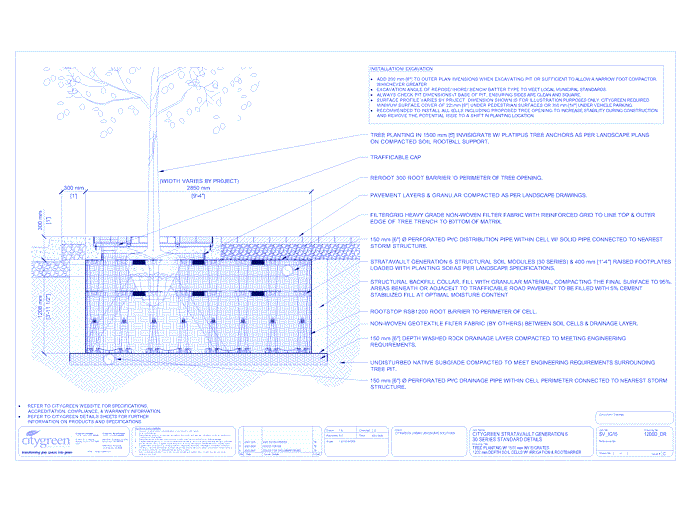 Stratavault™ Tree Planting w/ Invisigrate™ 1500 mm Tree Grates - 1200 mm Depth Soil Cells w/ Irrigation and Root Barrier (Distribution)