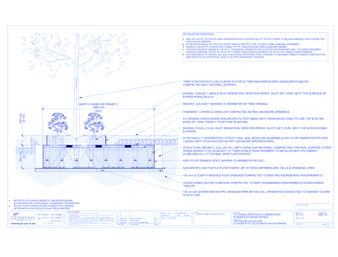 Stratavault™ Tree Planting in Flush Curb - 600 mm Depth Soil Cells w/ Irrigation and Root Barrier (Snorkil)