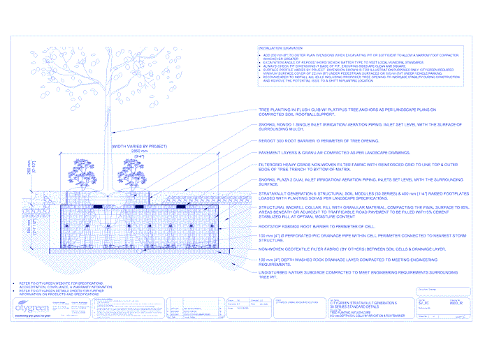 Stratavault™ Tree Planting in Flush Curb - 800 mm Depth Soil Cells w/ Irrigation and Root Barrier (Snorkil)