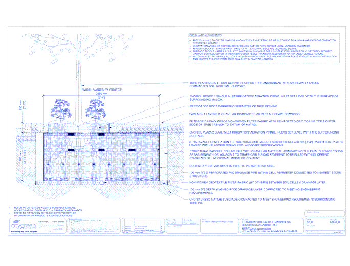 Stratavault™ Tree Planting in Flush Curb - 1200 mm Depth Soil Cells w/ Irrigation and Root Barrier (Snorkil)