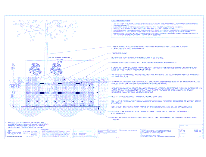 Stratavault™ Tree Planting in Flush Curb - 1000 mm Depth Soil Cells w/ Irrigation and Root Barrier (Distribution)