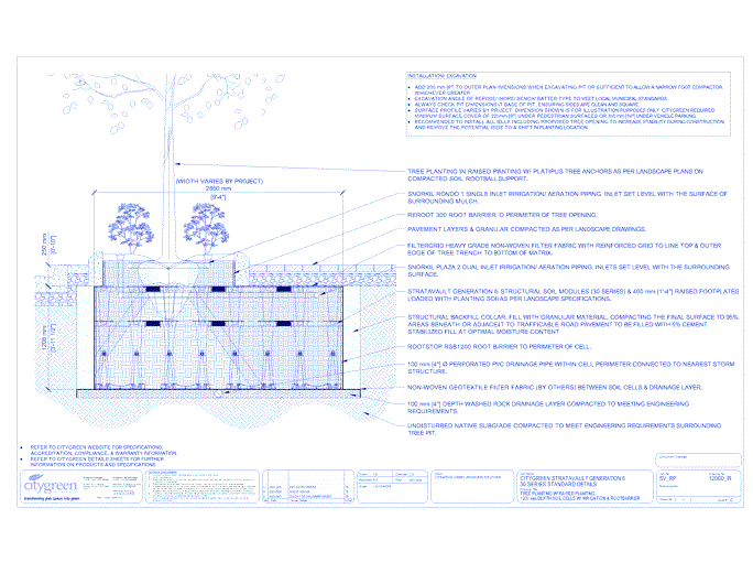 Stratavault™ Tree Planting w/ Raised Planting - 1200 mm Depth Soil Cells w/ Irrigation and Root Barrier (Snorkil)