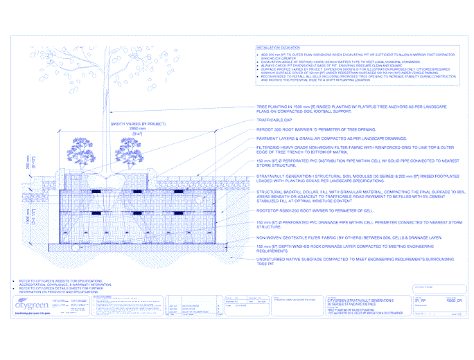 Stratavault™ Tree Planting w/ Raised Planting - 1000 mm Depth Soil Cells w/ Irrigation and Root Barrier (Distribution)