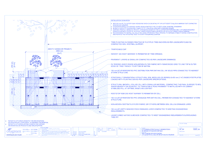 Stratavault™ Tree Planting w/ Raised Planting - 1200 mm Depth Soil Cells w/ Irrigation and Root Barrier (Distribution)