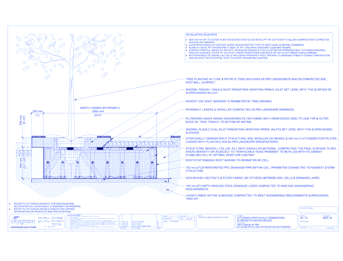 Stratavault™ Tree Planting in Turf - 800 mm Depth Soil Cells w/ Irrigation and Root Barrier (Snorkil)