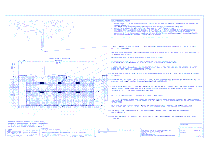 Stratavault™ Tree Planting in Turf - 1000 mm Depth Soil Cells w/ Irrigation and Root Barrier (Snorkil)