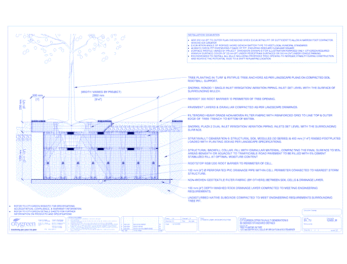 Stratavault™ Tree Planting in Turf - 1200 mm Depth Soil Cells w/ Irrigation and Root Barrier (Snorkil)