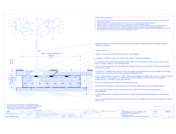 Stratavault™ Tree Planting in Turf - 600 mm Depth Soil Cells w/ Irrigation and Root Barrier (Distribution)