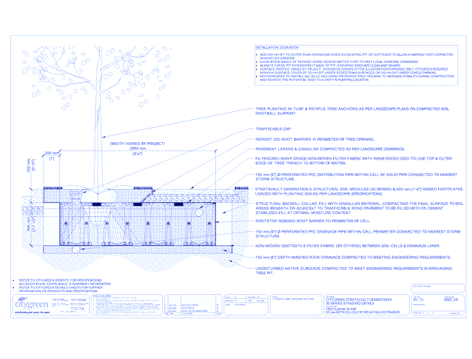 Stratavault™ Tree Planting in Turf - 800 mm Depth Soil Cells w/ Irrigation and Root Barrier (Distribution)