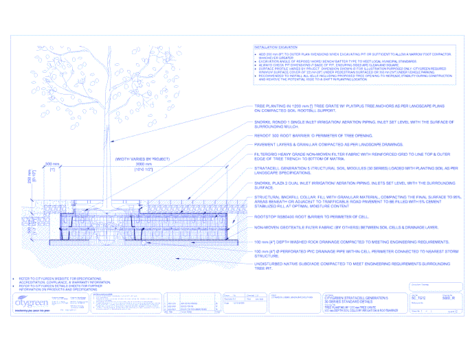 Stratacell™ Tree Planting w/ Standard 1200 mm Tree Grates - 500 mm Depth Soil Cells w/ Irrigation and Root Barrier  (Snorkil)