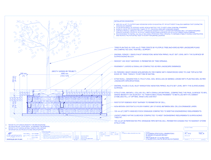 Stratacell™ Tree Planting w/ Standard 1200 mm Tree Grates - 750 mm Depth Soil Cells w/ Irrigation and Root Barrier  (Snorkil)