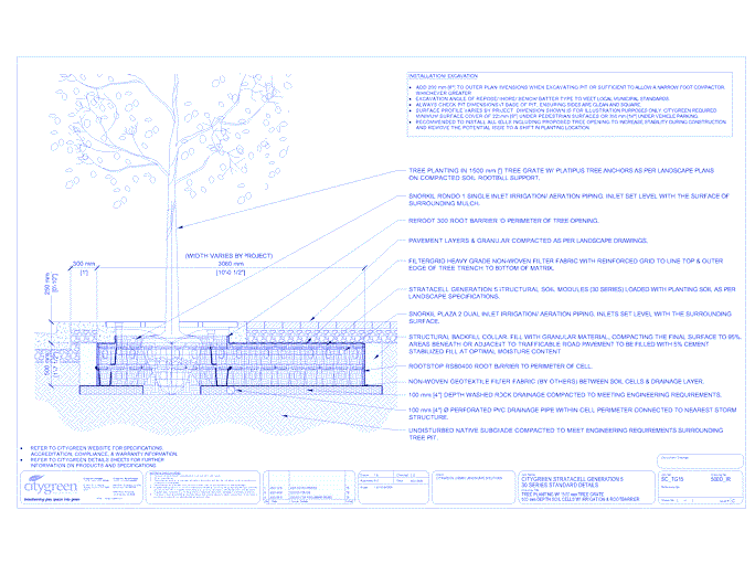 Stratacell™ Tree Planting w/ Standard 1500 mm Tree Grates - 500 mm Depth Soil Cells w/ Irrigation and Root Barrier  (Snorkil)