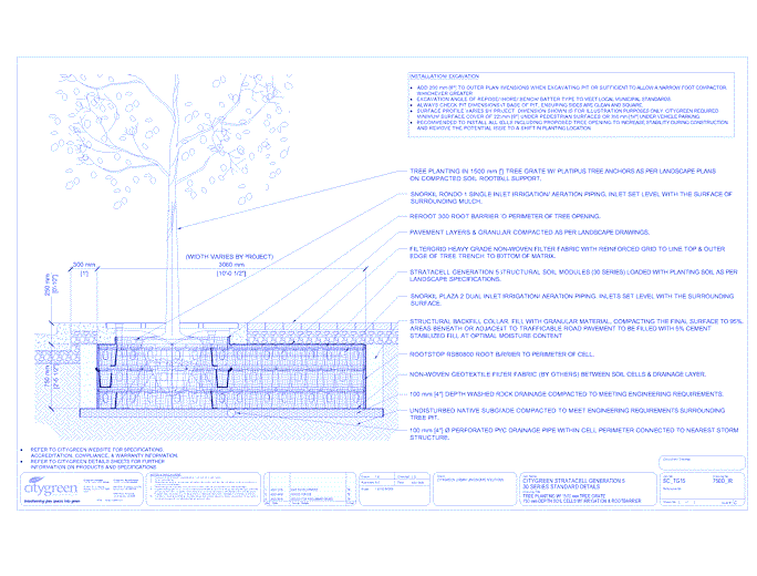 Stratacell™ Tree Planting w/ Standard 1500 mm Tree Grates - 750 mm Depth Soil Cells w/ Irrigation and Root Barrier  (Snorkil)