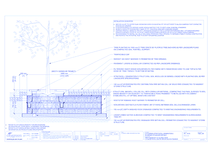 Stratacell™ Tree Planting w/ Standard 1500 mm Tree Grates - 750 mm Depth Soil Cells w/ Irrigation and Root Barrier (Distribution)