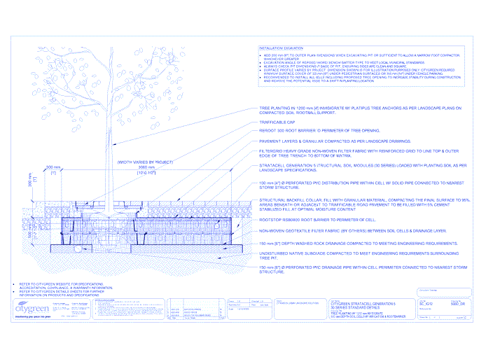 Stratacell™ Tree Planting w/ Invisigrate™ 1200 mm Tree Grates - 500 mm Depth Soil Cells w/ Irrigation and Root Barrier (Distribution)