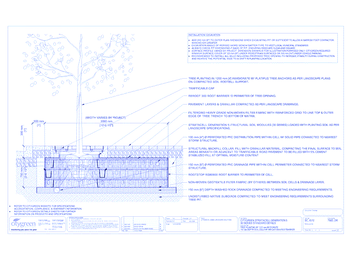 Stratacell™ Tree Planting w/ Invisigrate™ 1200 mm Tree Grates - 750 mm Depth Soil Cells w/ Irrigation and Root Barrier (Distribution)