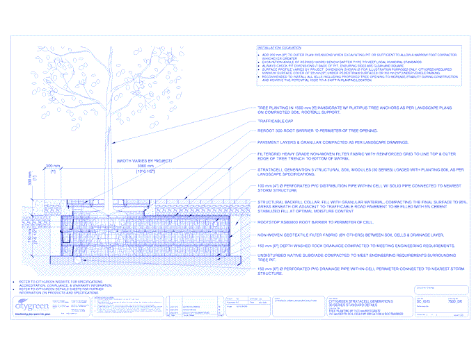 Stratacell™ Tree Planting w/ Invisigrate™ 1500 mm Tree Grates - 750 mm Depth Soil Cells w/ Irrigation and Root Barrier (Distribution)