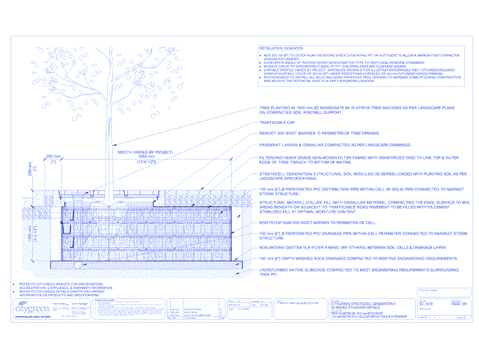 Stratacell™ Tree Planting w/ Invisigrate™ 1800 mm Tree Grates - 1000 mm Depth Soil Cells w/ Irrigation and Root Barrier (Distribution)