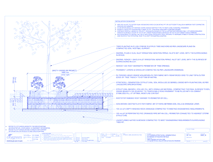 Stratacell™ Tree Planting in Flush Curb - 500 mm Depth Soil Cells w/ Irrigation and Root Barrier (Snorkil)