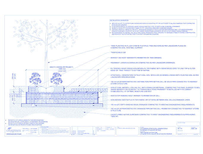 Stratacell™ Tree Planting in Flush Curb - 500 mm Depth Soil Cells w/ Irrigation and Root Barrier (Distribution)