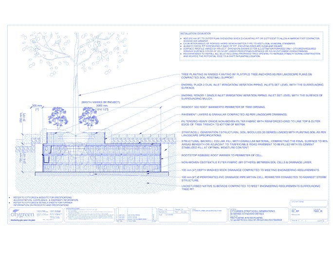 Stratacell™ Tree Planting w/ Raised Planting - 750 mm Depth Soil Cells w/ Irrigation and Root Barrier (Snorkil)