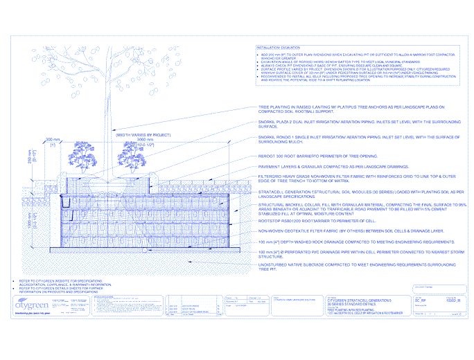 Stratacell™ Tree Planting w/ Raised Planting - 1000 mm Depth Soil Cells w/ Irrigation and Root Barrier (Snorkil)