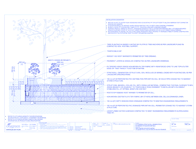 Stratacell™ Tree Planting w/ Raised Planting - 750 mm Depth Soil Cells w/ Irrigation and Root Barrier (Distribution)