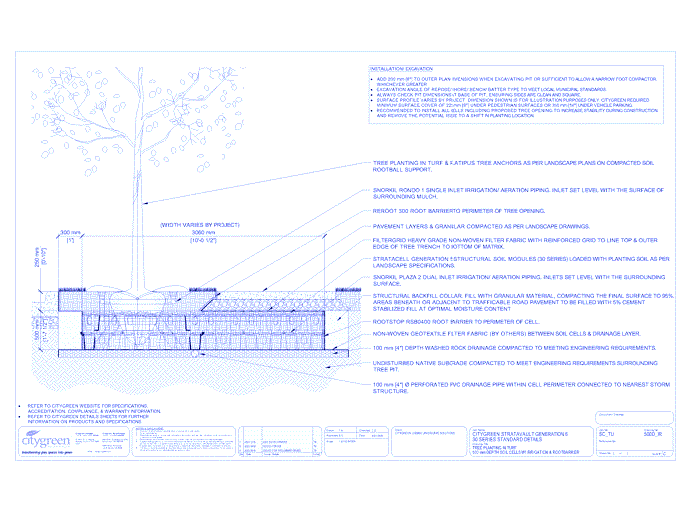 Stratacell™ Tree Planting in Turf - 500 mm Depth Soil Cells w/ Irrigation and Root Barrier (Snorkil)