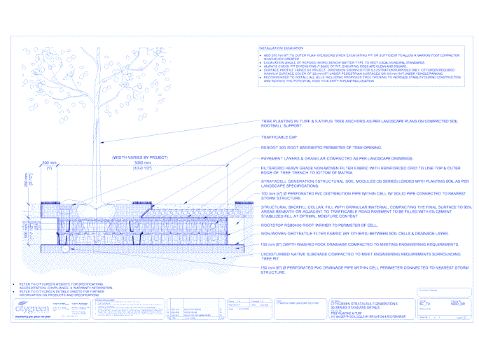 Stratacell™ Tree Planting in Turf - 500 mm Depth Soil Cells w/ Irrigation and Root Barrier (Distribution)